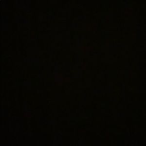 Meet your Posher, Dayan